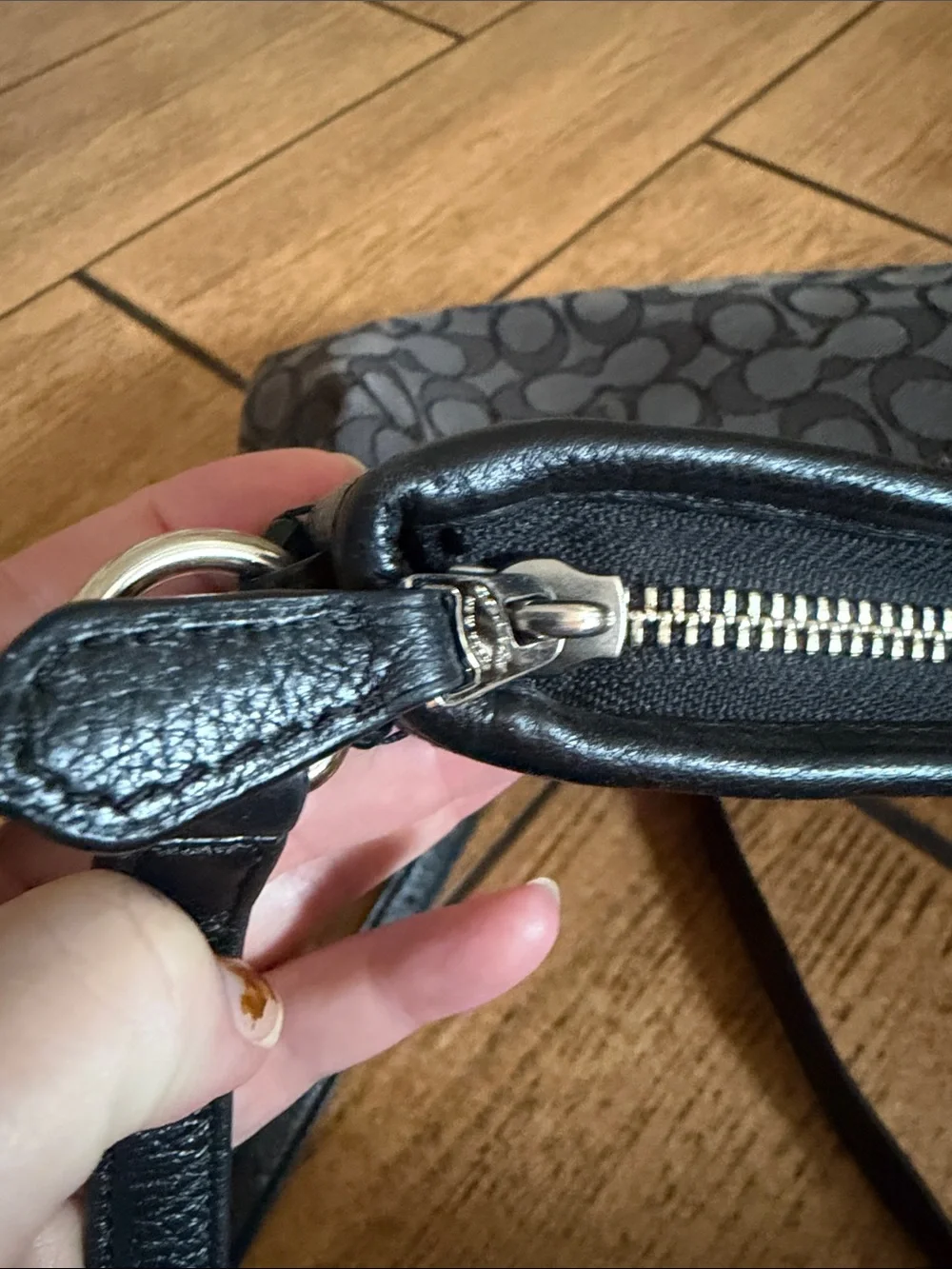 Coach authentic signature